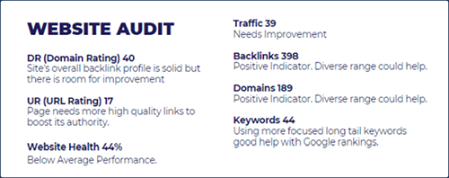 website audit