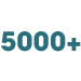 5000+  Surveys Collected